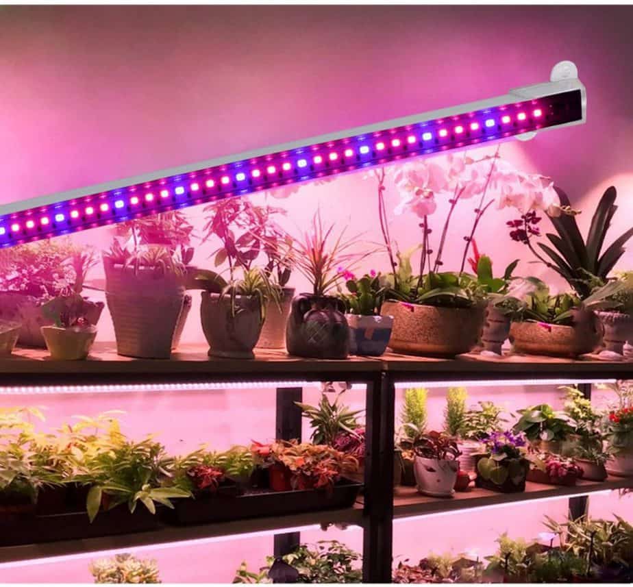lámparas led para cultivo interior
